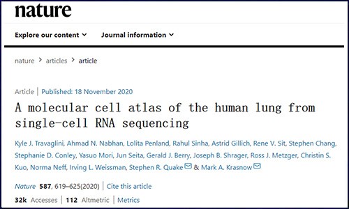 文献锦集 |11 月份单细胞测序高分文献汇总