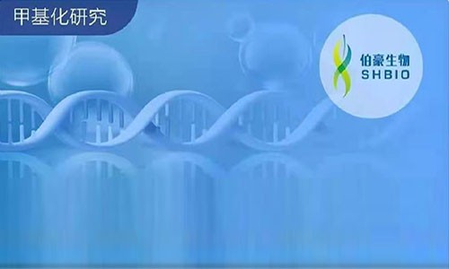 2020 年 DNA 甲基化高分文献盘点