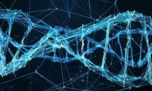 Cell 子刊 | 整合 scRNA-seq 和 ATAC-seq 数据分析人类发育过程中造血功能的调控