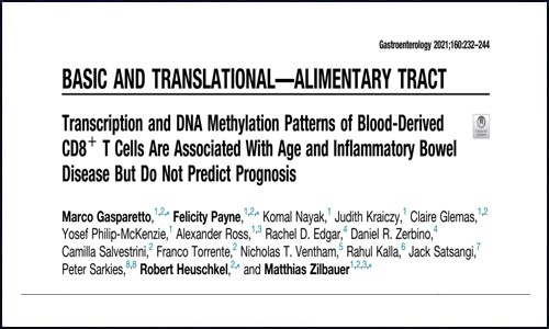 文献集锦│2021 年 1 月 DNA 甲基化研究成果回顾