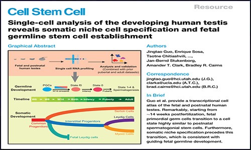 文献锦集 | 1 月份单细胞测序高分文献汇总