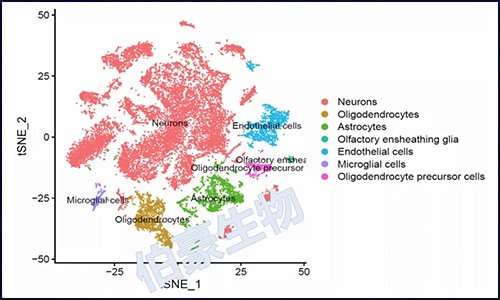 单细胞核测序 | 干货测数据大放送！
