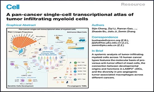 文献锦集 | 2021 年 2 月单细胞测序高分文献汇总