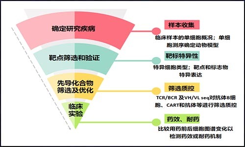 药物研发 | 单细胞测序在药物研发中的应用