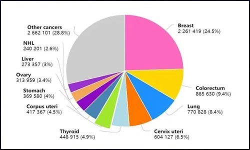 文献锦集 | 乳腺癌文献研究与应用