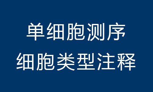 单细胞测序 | 细胞类型注释