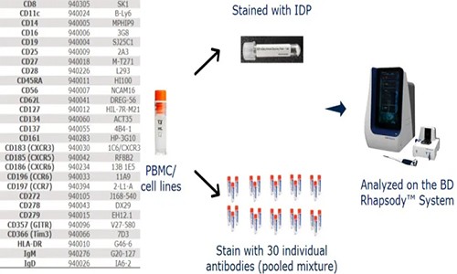 伯豪生物 AbSeq Panel 助力单细胞多组学研究
