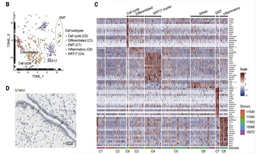 单细胞测序加速药物研发 | 药物靶点发现及验证！