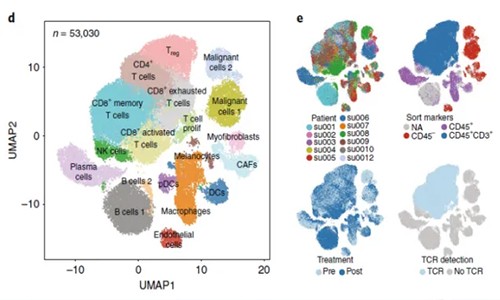 免疫治疗 | 单细胞测序技术加速药物研发！