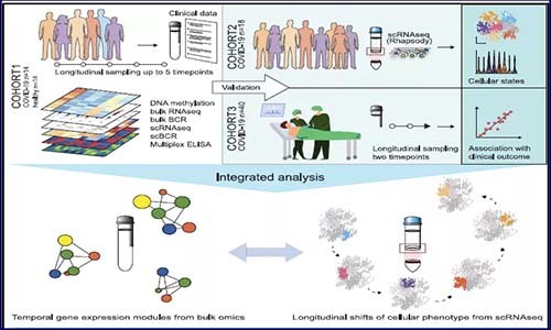 多组学分析 |COVID-19 患者巨核细胞、红细胞以及浆母细胞特征！