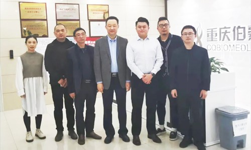 重庆大渡口区生物产业办一行莅临重庆伯豪参观交流