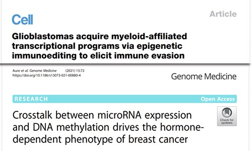 文献集锦│2021 年 04 月 DNA 甲基化新鲜速递