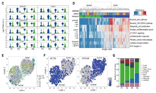 单细胞测序加速药物研发 | 协同治疗