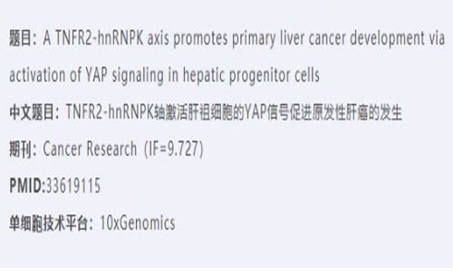 项目新文 | Cancer Research 单细胞测序辅助探索肝祖细胞原发性肝癌的秘密