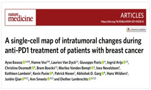 Nature | 乳腺癌免疫治疗反应机制及预测治疗新方法