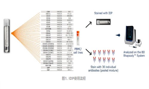 伯豪生物 | AbSeq Panel 助力单细胞多组学研究