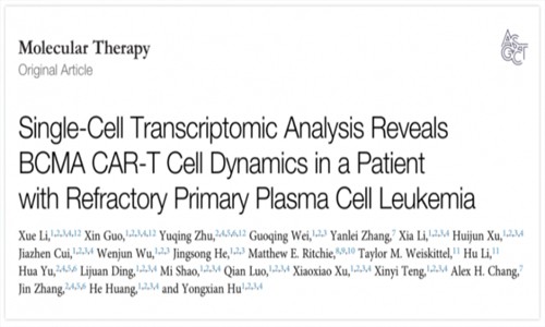 文献解读 | 单细胞转录组分析抗 BCMA CAR- T 细胞对白血病患者治疗作用