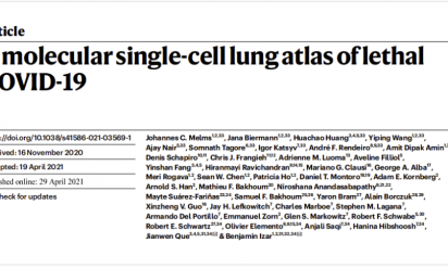 文献解读 |COVID-19 肺单细胞图谱构建