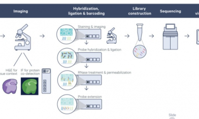 活动即将满额 |FFPE 空间转录组内测福利再不约就晚了！