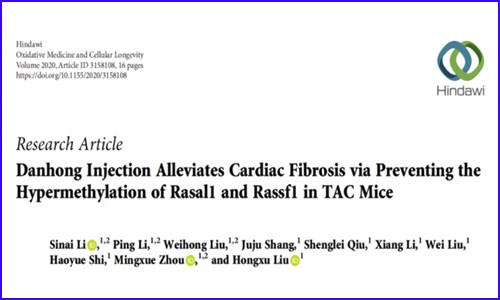 甲基化项目新文 | 丹红注射液可抑制 Rasal1 和 Rassf1 基因的高甲基化缓解心肌纤维化