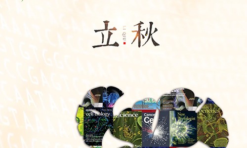 立秋 | 科研服务不期而遇