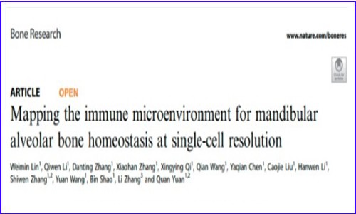 文献解读 | 单细胞测序揭示小鼠下颌牙槽骨的免疫微环境