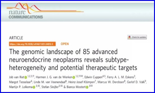 Nature Communications | 大规模晚期神经内分泌肿瘤全基因组测序揭示亚群异质性和潜在治疗靶点