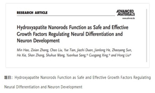 项目文章 IF=30.849| 常规转录组技术揭示羟基磷灰石纳米材料可加快神经分化和神经元发育