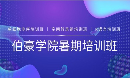 伯豪学院 |2021 暑期培训班圆满收官！