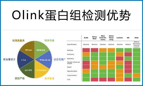 Olink 蛋白组在药物靶点筛选中的研究方案