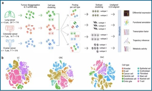 单细胞测序技术 | 绘制肿瘤微环境的泛癌图谱