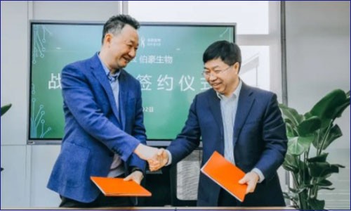 强强联合 | 伯豪生物与艾德生物就肿瘤精准医疗转化医学研究达成战略合作