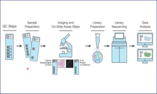 FFPE 样本做空间转录组知多少？