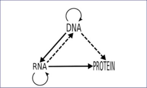 PEA 进化史 | 从中心法则洞见蛋白组质组学发展未来