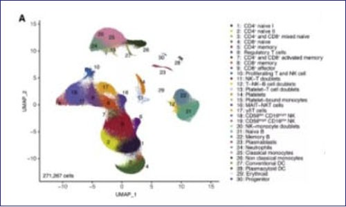 单细胞测序 | 儿童炎症综合征的免疫失调和自身反应性与 SARS-CoV- 2 的严重程度相关