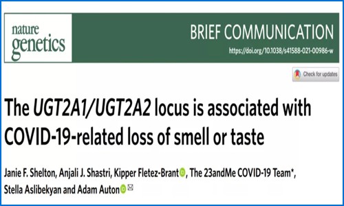 Nature genetics 高分文章解读丨经典思路与新冠研究的碰撞