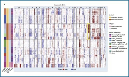 单细胞测序 | 单细胞测序技术揭示转移性胃腺癌的瘤内异质性和谱系多样性