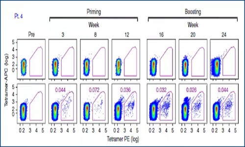 文献解读 | 单细胞测序评估肿瘤疫苗疗效