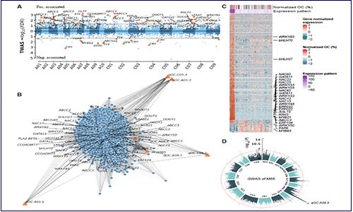 多组学联合 | 分析万金油 RNA-seq