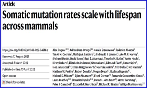 Nature | 为何动物的寿命差异那么大？跨物种单细胞测序揭示长寿密码
