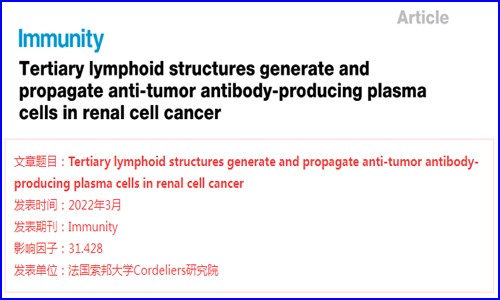 10x Genomics 文章新鲜出炉 |FFPE 空间转录组文章