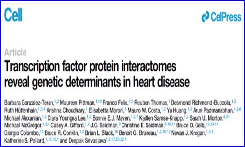 Cell| 结合蛋白质组与外显子组技术构建转录因子互作图谱，揭示先心病的遗传决定因素