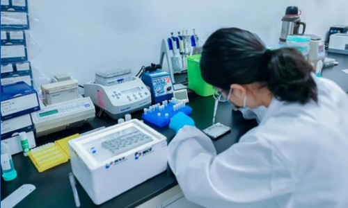 全力以“复”—伯豪生物复工复产进行时