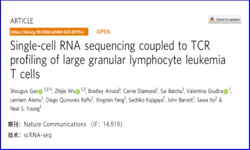 文献解读 |T-LGLL 的 scRNA-seq 与 TCR 分析