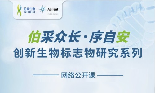 “伯”采众长，序自“安”标志物研究系列公开课