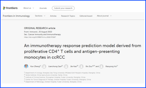 复旦大学邹欣 / 郝洁团队和上海交通大学胡晓勇团队基于单细胞算法 scCODE 构建精准肾透明细胞癌免疫治疗预测模型（AUC=93%）