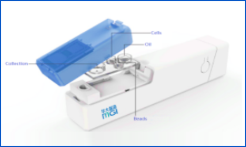 伯豪生物获得 | 华大智造 DNBelab C 系列服务商认证，全力加速单细胞测序规模化研究