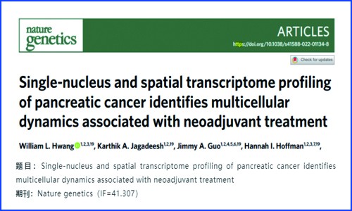 文献解读 | 胰腺癌的单细胞核测序和空间转录组分析识别与新辅助治疗相关的多细胞动力学