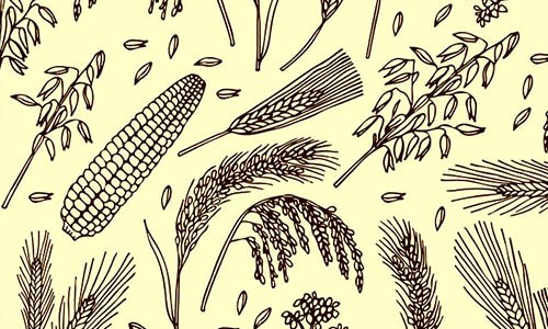 激励计划 | 农学单细胞 & 空间研究——万元大奖等你来！