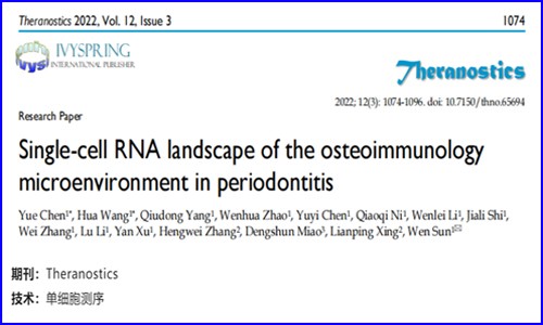 文献解读 | 基于单细胞 RNA 测序观察牙周炎骨免疫微环境